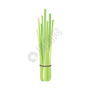 Lemongrass 演示图解图标模板免费香气茶杯叶子芳香疗法烹饪茶壶药品植物学花园图片