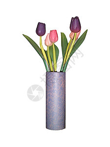 圆柱形花瓶中的春郁金香图片