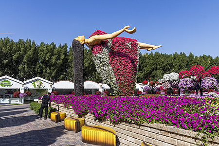 迪拜 阿联酋迪拜  2020年6月3日 迪拜奇迹花园的花卉和景观美化设施旅游植物学植物群安装花瓣数字地标花束花园观光图片