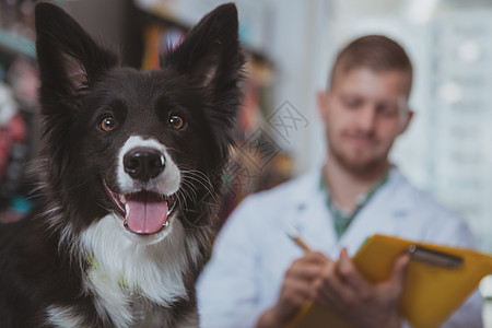 帅帅帅帅帅的男兽医 享受和狗病人一起工作小狗情况咨询疾病桌子诊所程序犬类护理动物图片