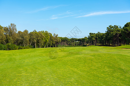 高尔夫球场有美景 湖边和松树的风景 还有阳光明日的松树俱乐部游戏场地草地球道全景蓝色课程运动绿色图片