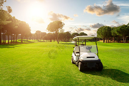 高尔夫高尔夫球场的飞道高尔夫车 绿草田 日落时有云天和树木高尔夫球大车草地场地高尔夫运动游戏晴天驾驶火鸡图片