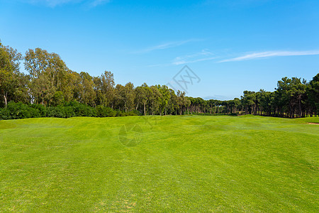 环绕着土耳其贝莱克松树的美丽高尔夫球场风景天空蓝色全景高尔夫太阳绿色运动球道俱乐部高尔夫球图片