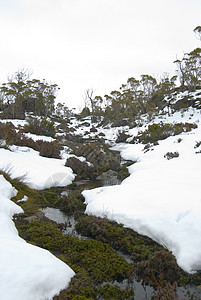 冬季溪流背景图片