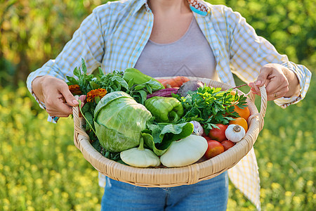 带着一篮不同新鲜蔬菜和草药的微笑着女人的肖像女士女性园艺晴天土地农场生物食物篮子生长图片