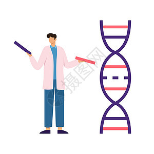 穿着白大衣的人类科学家手里握着DNA碎片图片