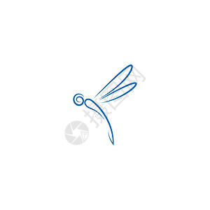 龙蝇图标徽标设计动物漏洞翅膀绘画时尚野生动物艺术蜻蜓蝴蝶标识图片