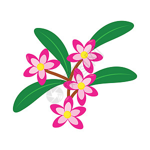 柬埔寨花朵图标模板插图植物叶子温泉标识黄色植物群图片