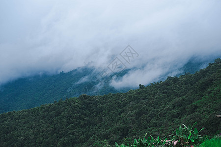 清晨在热带山上空中看到雾的海面地平线天气假期远足薄雾旅行林地森林蓝色季节图片