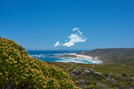 靠近开普敦  西开普省的沿海地区 靠近南非开普敦的沿海地区力量海浪晴天动物季节旅游岩石阳光海洋天空图片