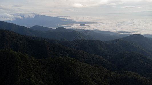 清晨在热带山上空中看到雾的海面顶峰农村蓝色旅行公园环境场景林地地平线旅游图片