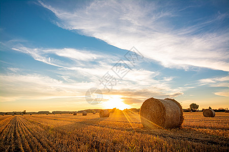 太阳落日的美丽景色 在一大片农耕草地上 稻草被卷成包图片