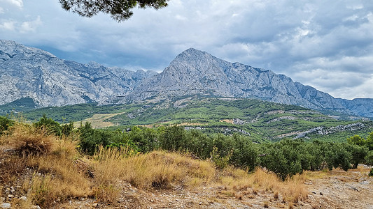 Biokovo 山地自然公园和来自的树木太阳国家旅游顶峰石头岩石海岸植物全景法律图片