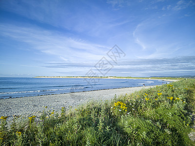 翻译 爱尔兰Donegal县西北的Gaeltacht村和城镇地带春波平面海岸飞行波浪海滩冲浪风景天空薄雾荒野自然图片