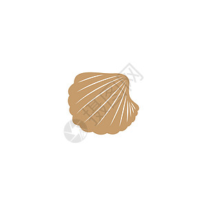 美丽的贝壳图标设计食物贝类海滩海鲜动物插图蜗牛图片
