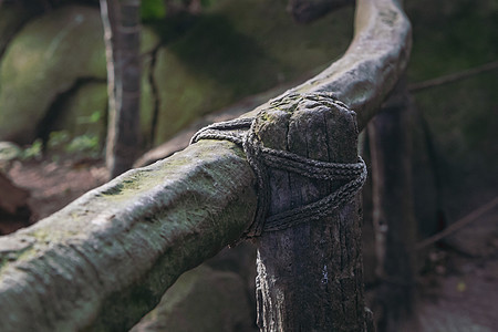 由部落在丛林中建造的古老木制围栏图片