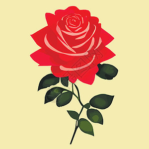 装饰花朵的玫瑰花和花蕾 为您设计的鲜花矢量盛放 婚礼请柬的装饰绘画图案生日古董栗色插图叶子打印植物玫瑰图片