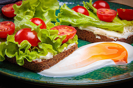 黑面包三明治 加融化的奶酪沙拉和西红柿 在绿色盘子上健康饮食营养食物吃饭蔬菜乡村午餐胡椒沙拉早餐图片