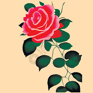 装饰花朵的玫瑰花和花蕾 为您设计的鲜花矢量盛放 婚礼请柬的装饰新娘纺织品卡片艺术花束图案玫瑰打印针线活衬套图片