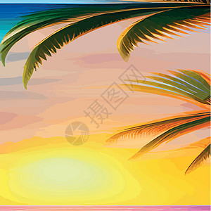 Web 与棕榈树的迈阿密海滩在日落 与晴朗的天空的热带风景 在海滩的棕榈树 手掌的轮廓假期棕榈夕阳派对旅行阳光徽章晴天标识蓝色图片