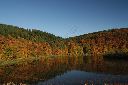 蓝天空和秋雨林的红黄绿秋颜色 在湖面上被映射出来荒野蓝色树木风景公园天空季节环境树叶反射图片