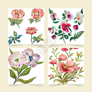 白色背景上带多彩野花的明信片 矢量插图 草药和野花 为您的成份设置花岗元素在您使用艺术叶子手绘奢华作品婚礼婴儿卡片植物绘画图片