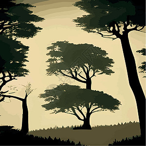打印复古橡树林 冬天和夏天的树 手绘矢量图 复古风格 老树 蕨类植物环境木头雕刻绘画生态插图叶子季节工具古董图片