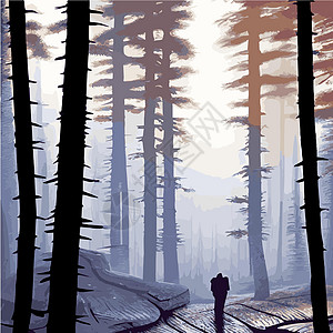 印刷神秘森林 夜暗雾林的背景景观 卡通彩色的泰加黑图示Taiga dark地面木头卡通片森林飞行土地标语海报公园月亮图片