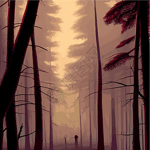 印刷神秘森林 夜暗雾林的背景景观 卡通彩色的泰加黑图示Taiga dark插图植物月亮艺术黑暗木头叶子公园薄雾小路图片