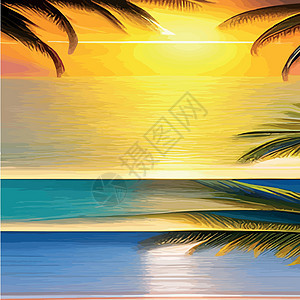 Web 与棕榈树的迈阿密海滩在日落 与晴朗的天空的热带风景 在海滩的棕榈树 手掌的轮廓棕榈季节徽章太阳插图艺术植物群天堂海浪邮票图片