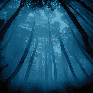 深夜森林中树木的轮椅 有蓝色烟雾色 奇妙神秘地貌 福吉森林天空辐射树干插图蝙蝠公园爬坡月光魔法装饰品图片