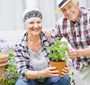 一个快乐的老年夫妇在后院忙着种植园艺 我们一直很年轻啊 (笑声)图片