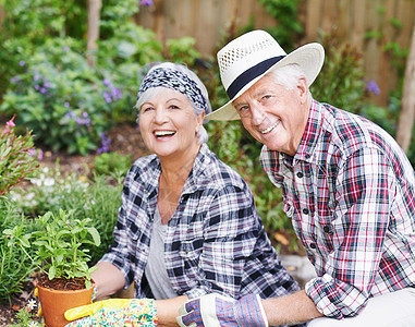 园艺是我们的新爱好 一个快乐的老年夫妇在后院忙着园艺图片