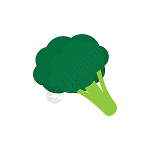 Broccoli 图标模板插图营养生态植物卡通片绿色食物花园图片