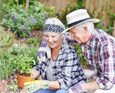一个快乐的老年夫妇 忙着在后院里做园艺工作图片