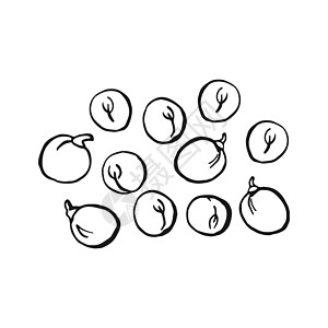 Pea pod草图 手画插图转换成矢量 有机食品插图被孤立菜单营养蔬菜手绘绘画墨水花园农业艺术饮食图片