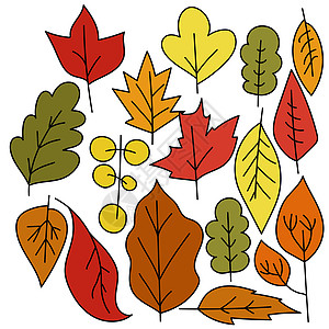一套红色的秋叶 带不同类型树木的红色 面条玻璃化树叶图片
