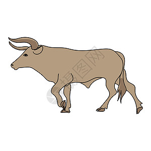 带角 农畜 牛和牛的大褐公牛 用黑色轮廓进行矢量插图图片