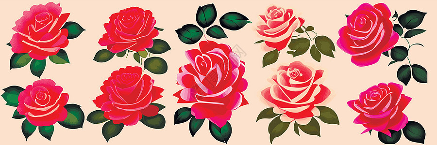 美丽的红玫瑰和叶子 花的成份 设计贺卡和请柬婚宴花束绘画插图浪漫花瓣艺术明信片图案植物销售图片