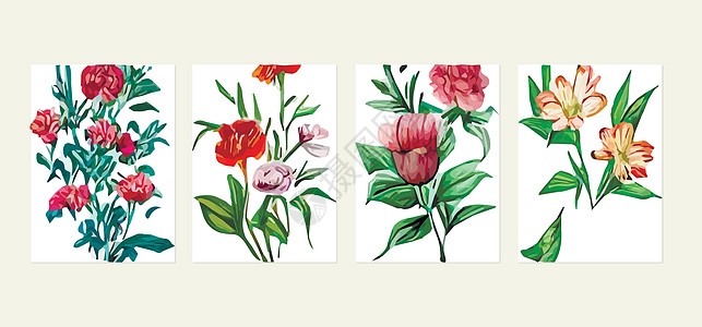 白色背景上带多彩野花的明信片 矢量插图 草药和野花 为您的成份设置花岗元素在您使用粉色邀请函创造力植物艺术材料作品女人标签玫瑰图片
