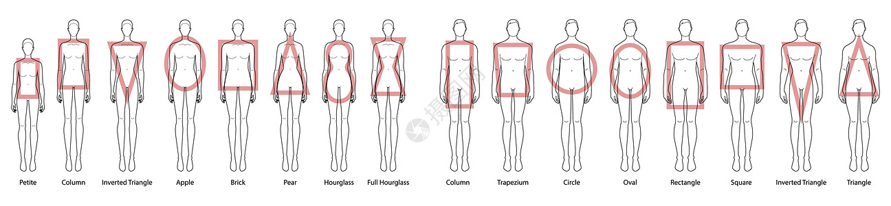 一套女性男性体型类型 男性和女性矢量插画风格剪影 9 头大小先生们和女士们图片