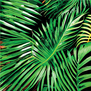 Web 绿松石和绿色热带树叶 无缝图形设计 时尚 室内 包装 包装合适纺织品棕榈情调异国丛林框架叶子香蕉打印荒野背景图片
