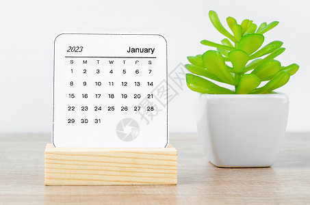 2019年1月日历2023年1月2日的月历 2023年 木制桌上装着植物锅背景