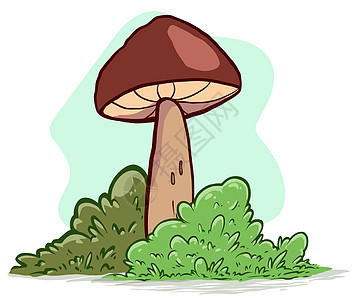 卡通手画森林蘑菇和草图片