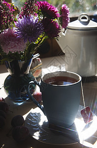 一杯茶 盛满花束 晨茶的概念焦点厨房太阳光线乡村园林粉色蓝色选择性翠菊图片