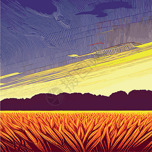 印刷矢量小麦田 花耳朵 农村地貌全景 手画黄色水彩图 国家边面包艺术小麦日落卡片天空种子远景插图农业图片