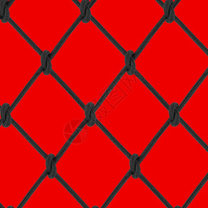 红色背景的黑布线绳网图片