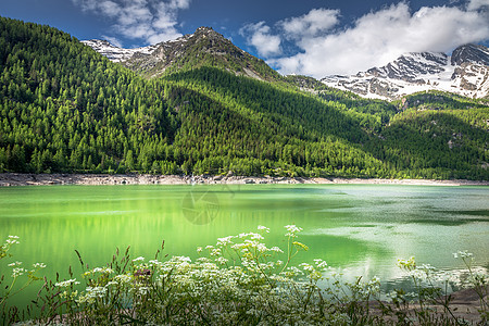 意大利 大帕拉迪索阿尔卑斯山高山湖和春天的戏剧性地貌假期场景旅行草地风景旅游日落田园天空风光图片