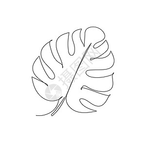 室内设计手绘木质叶一线图画 外植物人工拖放矢量说明插画