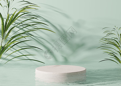 讲台站在水中 棕榈叶 浅绿色背景 产品 化妆品展示的漂亮模型 美容产品的基座或平台 空旷的场景 舞台 3D 渲染图片